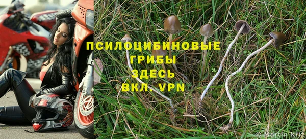 ALPHA-PVP Саяногорск