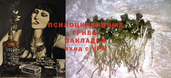 гидропоника Сатка