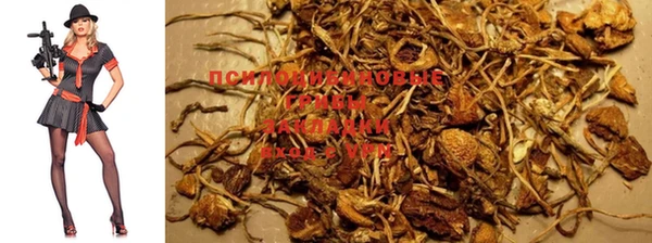 MDMA Сафоново