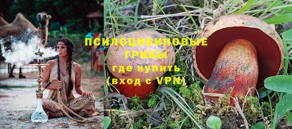 гидропоника Сатка